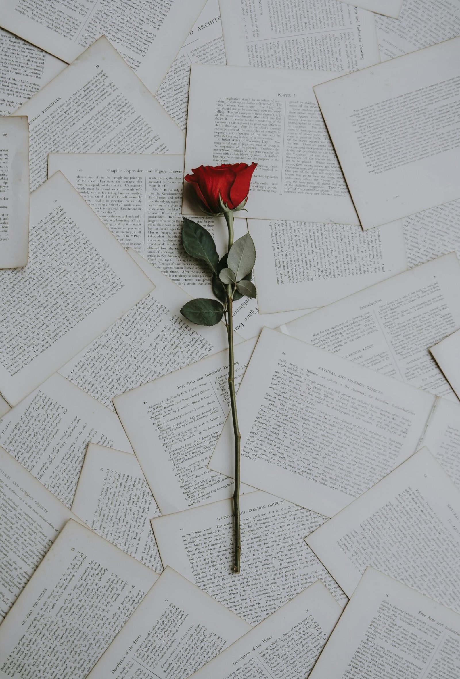 O Poder da Magia Hoodoo: Feitiços de Amor para Corações Partidos